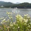 의왕 백운호수 산책 후기 - 입장료 무료 3km 데크길 코스 총정리