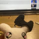 도도한 펫츠 이미지