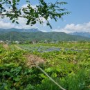 하랑공인중개사사무소 이미지