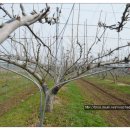 최고집농장 이미지