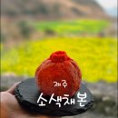 산방산의봄 | 제주 산방산 유채꽃뷰 카페 소색채본, 봄에 꼭 가야 할 인생카페 추천