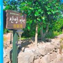 미영이네 민박 이미지