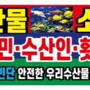 (연안부두) 신화수산 네이버블로그