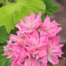 빛으로부터..(fr 이미지