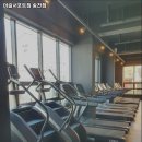 머슬서포트짐 이미지