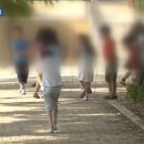 보성남초교+보성초교 이미지