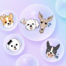 펫앤쇼핑 이미지