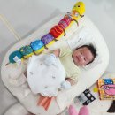 (경기)도담도담산후도우미 안양 | [내돈내산+정부지원]수원 ★도담도담 산후도우미★ 솔직 후기입니다(관리사분 추천)