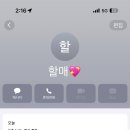 올랑 이미지