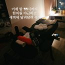 순천만 거차뻘배체험장 | 순천 갯벌체험 거차뻘배체험장 정보 칠게잡는곳 후기
