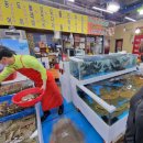 [삽교★당일치기]충남 예산군 삽교 당일치기 여행 후기(청주에서 한시간 거리 바닷가 힐링여행)