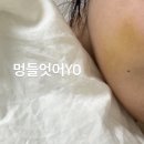 홍성수 | ︎︎︎︎︎︎︎︎︎︎︎︎