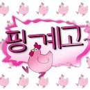 이터널 나우 | 지름신 나우의 현명하게 낭비하는 소비 일기 [1月]