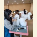 울산 제이앤독 애견샵 | [울산애견미용학원] “울산 애견미용학원 추천 🔥 단기간 자격증 + 실견 실습 빵빵한 곳!”
