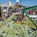 진주축산농협평거지점 | 진주 사천 남해 산청 고성 하동 합천 상가 옥상 방수 코팅 ( 진주축산농협 평거지점 상가 )