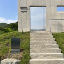 베지아웃 이미지