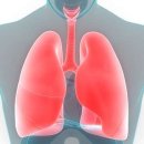 폐에 쌓인 독소를 정화하는 방법 8 이미지