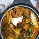 조마루뼈다귀 이미지