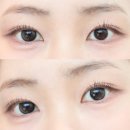 윙크렌즈스토어 한티역점 | 올리브영 렌즈 추천, 하파크리스틴 돌리 크리스틴 블랙 후기!(오프라인 한정 출시)