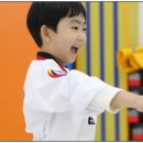 대망(태권도) 이미지