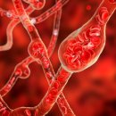 청사로150번길 이미지