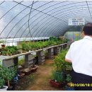 의성북부초등학교 이미지