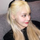 진솔투어