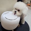 르라움 애견호텔 신암점 이미지