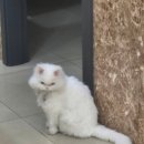 운천 뽑기방 | 26.01 둘째주 일상