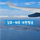 레디카서비스 송현카 | [김포-제주] 대한항공 KE1045, A330-300 탑승후기, 김포공항 주차장, 제주공항 더세이프렌터카
