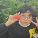 수문2농장 이미지