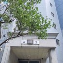 신반포로45길 71 (1) 이미지