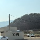 락스크린골프장 | [거랑풀빌라] 아기랑 울산 미온수 풀빌라 A1 솔직후기