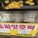 해변의 꿈 | [당일치기 코스추천]해운대미포해변열차~ 청사포>미포 스카이캡슐 후기