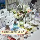 르브아제 | 더현대서울 팝업 9월 르브아제 향수 팝업스토어 방문 후기