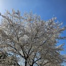 용문워시존 | [ 워시존 프렌즈스크린 양평용문점 ] 양평스크린골프에 다녀온 후기.