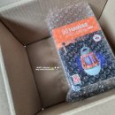 휴대용모기퇴치기 겸 하와스 캠핑랜턴