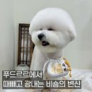 푸드르르 이미지