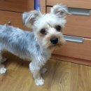 귀소농장 이미지