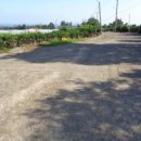 위미중학교 이미지