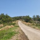 가라지하우스 | 제주도 가라지하우스 내돈내산 후기