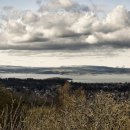 ji(나만의) 이미지