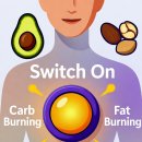(주)디시에너지 대신지점 | 2025 스위치온 다이어트, 더쿠&amp;디시 &#39;진짜&#39; 성공 후기 대공개!