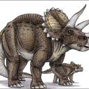 트리케라톱스-3 이미지