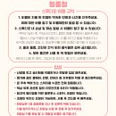 오로라폴스튜디오