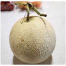 신북농협 로컬푸드 직매장 이미지