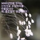 주택석유 이미지