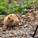 로그인편의점 안성고삼점 이미지