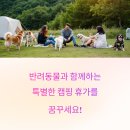 정선군생태체험학습장캠핑장 | 펫과 함께 캠핑, 강원도 정선생태체험장에서의 하루