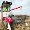 칠갑산축산 - 서구 도마4길 66 | 칠갑산축산